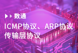 ICMP协议、ARP协议、传输层协议