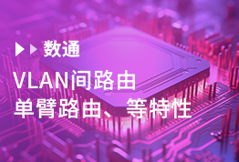 VLAN间路由、单臂路由、等特性