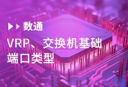 VRP，交换机基础知识，端口类型